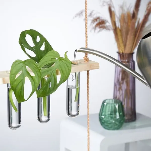 Kit Til Plante- & Urtedyrkning^Planteformeringsstation, 86x35.5x4.5 cm, Natur
