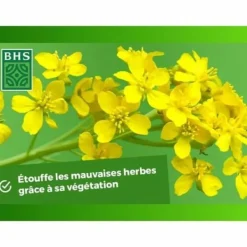 Gødningsmidler^Plantegødning BHS 500 g