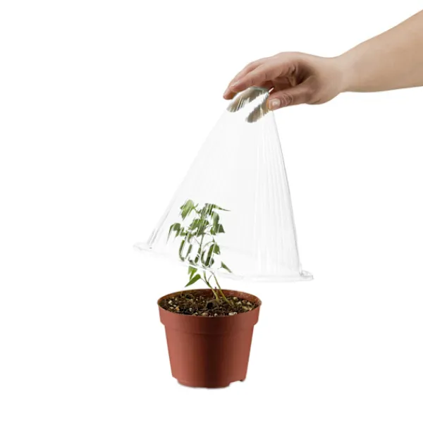 Kit Til Plante- & Urtedyrkning^Plantehat 24 stk
