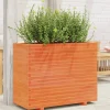 Krukker & Plantebeholdere^Plantekasse i massivt fyrretræ - Dekorativ havekasse | Størrelse: 90x40x72 cm | Farve: Gyldenbrun