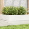 Best Plantekasse i massivt fyrretræ - Dybde 100 cm | Farve: Hvid | Størrelse: 100x100x23 cm Plantningsbænke