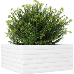 Blomster^Plantekasse i massivt fyrretræ - Dybde: 50x50x23 cm | Farve: Hvid