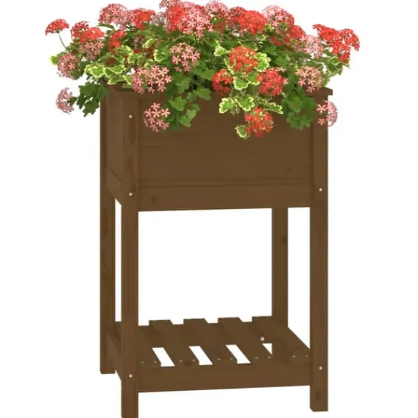 Plantningsbænke^Plantekasse med hylde i massivt fyrretræ - Højbed | Farve: Gyldenbrun | Størrelse: 54x54x81 cm