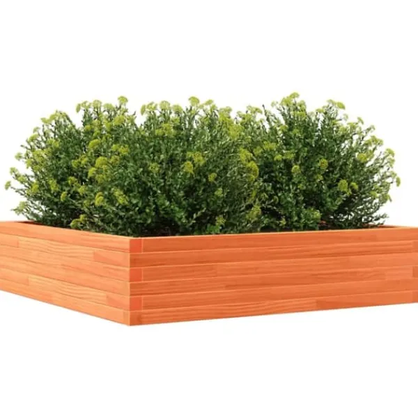 New Plantekasse 100x100 cm - Massivt fyrretræ | Farve: Gyldenbrun | Størrelse: 100x100x23 cm Plantningsbænke