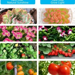 New Plantelampe/plantebelysning med 4 fleksible LED-lysstofrør 2-pack Kit Til Plante- & Urtedyrkning