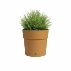 Krukkeplanter Indendørs^Planter Artevasi LARGE RE Yellow Ø 40 cm