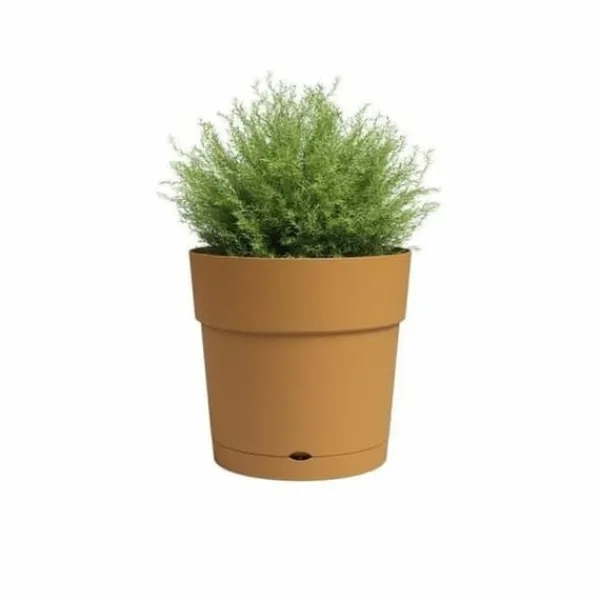 Krukkeplanter Indendørs^Planter Artevasi LARGE RE Yellow Ø 40 cm