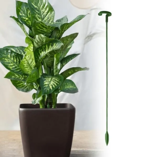 Clearance Plantestativ - Støtte til planter/blomster i jord - 17 cm Krukkeplanter Indendørs
