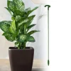 Krukkeplanter Indendørs^Plantestativ - Støtte til planter/blomster i jord - 37 cm