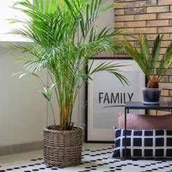 Best Planteunderstøtningssæt, 90x28 cm, Grøn Krukker & Plantebeholdere