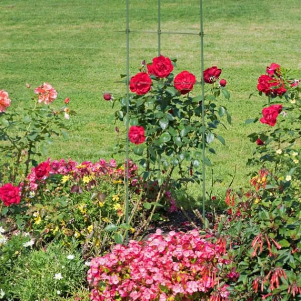 Hot Planteunderstøtningssæt, 91x28 cm, Grøn Krukker & Plantebeholdere