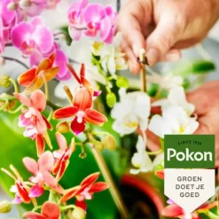 Gødningsmidler^Pokon flydende orkidémad - 250ml