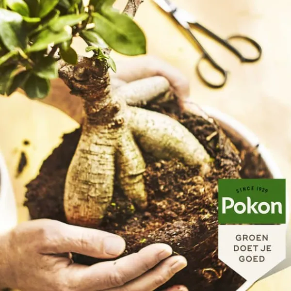 Best Pokon flydende plantefoder - Bonsai - 250ml Gødningsmidler