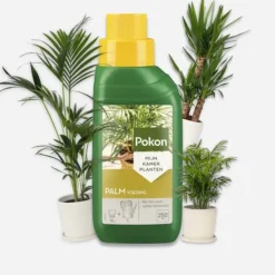 Gødningsmidler^Pokon flydende plantefoder - palmer - 250ml