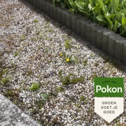 Best Pokon flydende ukrudtskoncentrat - 225ml Ukrudtsmiddel