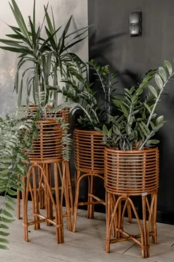 Krukkeplanter Indendørs^POLLIE S KARAMEL BLOMSTER BED