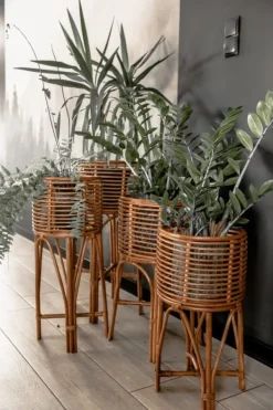 Krukkeplanter Indendørs^POLLIE S KARAMEL BLOMSTER BED