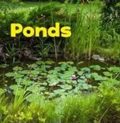 Springvand & Damme^Ponds