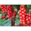 Haveduge^Primo 5x2m fuglenet i 12gr/m² sort polyethylen strikket net
