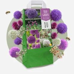 Frø^Prydløg - Sæt med 160 - Allium - Blomsterløg - Flerfarvet
