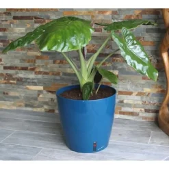 Online RIVIERA EVA NY rund blomlåda - Plast - Diameter 31 cm - Blå Krukkeplanter Indendørs