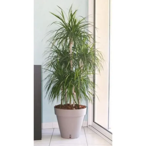 Clearance RIVIERA Loft urtepotte med vandreserve - Rund - Ø 50 x H 46 cm - Taupe Krukkeplanter Indendørs