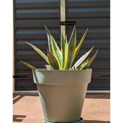 Clearance RIVIERA SOLEILLA rund blomsterkasse - Plastik - Diameter 50 cm - Lergrøn Krukkeplanter Indendørs