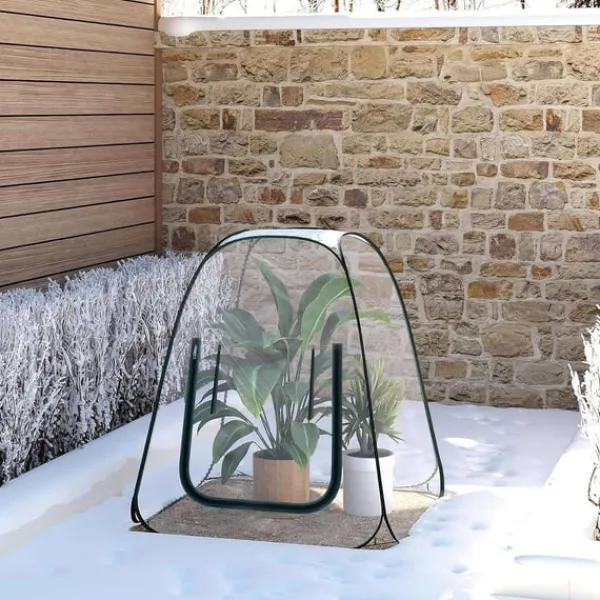 Drivhus^Rootz Pop -Up Greenhouse - Vinterbeskyttelsestelt - Mini Transparent Dubernation - Easy Setup - Understøtter plantevækst - 70x70x80 cm