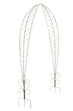 Buer, Spalier, Lysthuse Uden Tag^Rosenbue Ellen 36 x 162,5 x 264 cm 5