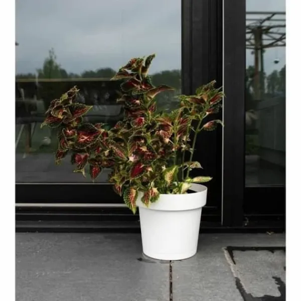 Sale Self-watering flowerpot Garden ID White Krukkeplanter Indendørs
