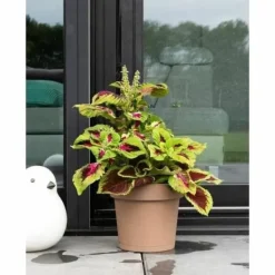 New Selvvandende pot Garden ID Taupe Krukker & Plantebeholdere