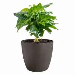 Krukker & Plantebeholdere^Set of pots Elho Plastic Circular 3 Pieces