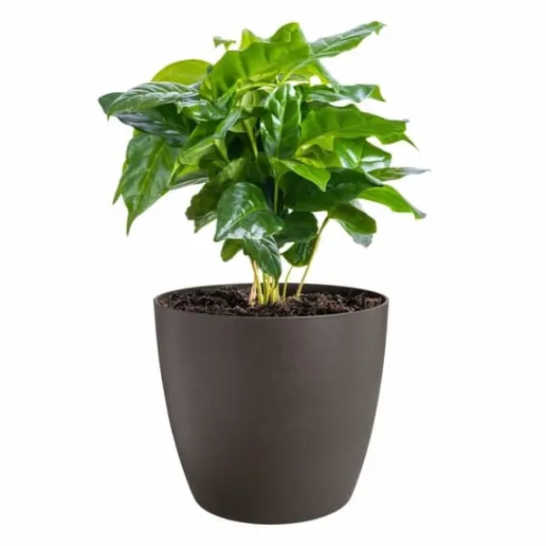 Krukker & Plantebeholdere^Set of pots Elho Plastic Circular 3 Pieces
