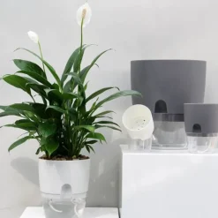 Krukker & Plantebeholdere^Självbevattningskruka Bomullsrep Plast Dekorativ planteringskruka för utomhusväxter inomhus Blommor Örter Vit 15,3 cm/6 tum Diameter