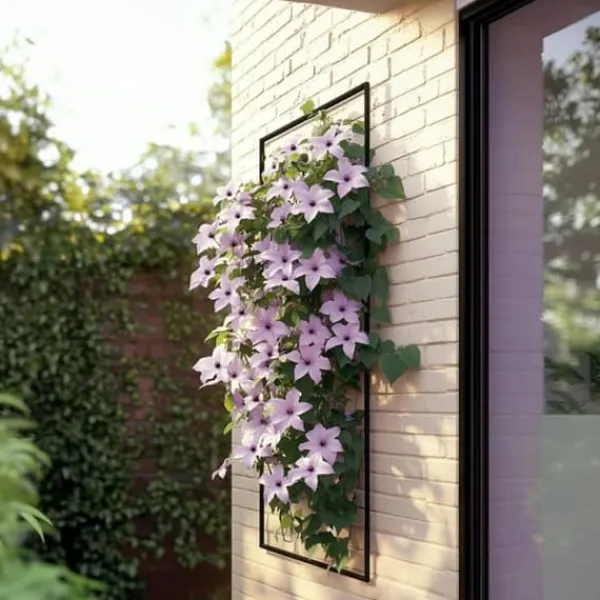 Haveplanter^Skovranke - 2 stk. - Clematis 'Hagley Hybrid' - Højde 100-120cm - ⌀17cm