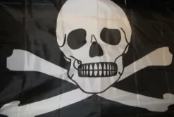 Hot Skull flag Flag & Vindposer