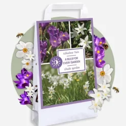 Frø^Skyggehaveboks - 50 blomsterløg til skygge og halvskygge