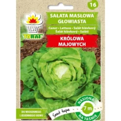 Hot Smørhovedsalat MAJS DRONNING (7m tape) Frø
