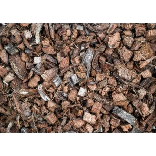 Outlet Soilico CocoBase GROV 3l Jord & Sand