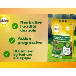 Online SOLABIOL SOCHAUX10 Calcium og magnesiumcarbonat 10 kg, effektiv Jord & Sand