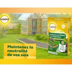 Online SOLABIOL SOCHAUX10 Calcium og magnesiumcarbonat 10 kg, effektiv Jord & Sand