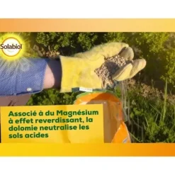 Online SOLABIOL SOCHAUX10 Calcium og magnesiumcarbonat 10 kg, effektiv Jord & Sand