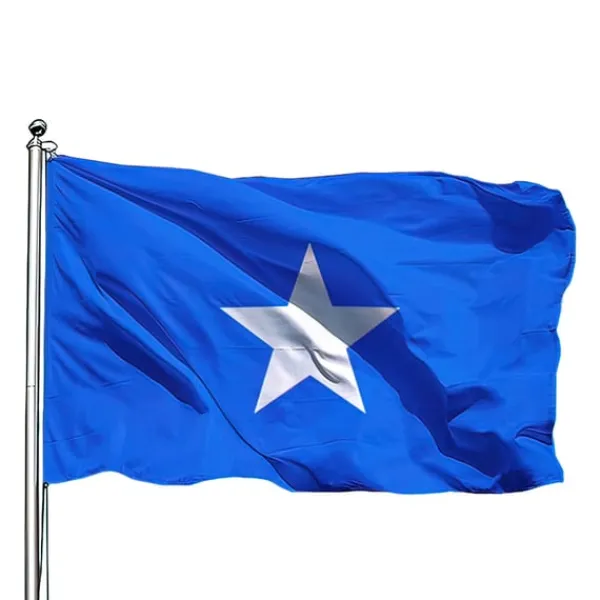 Online Somalia Flag - 150 x 90 cm Flag & Vindposer