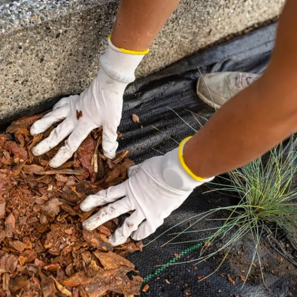 Online Sort agrotekstil til ukrudt, mulching, 3,2x100m, 70g pløkker Haveduge