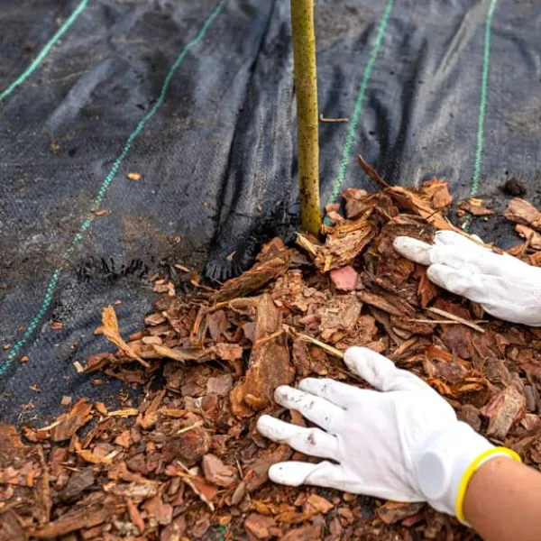 Online Sort agrotekstil til ukrudt, mulching, 3,2x100m, 70g pløkker Haveduge