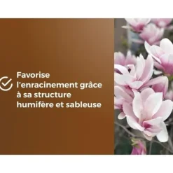 Sale Speciel pottejord til lyngplanter - BROWN GOLD - OBRTBRU6U - 6L - Bedre roddannelse Jord & Sand
