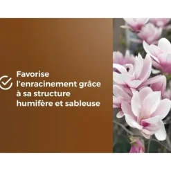 Hot Speciell krukjord för ljungväxter - ELLER BRUN - OBRTBRU6U - 6L - Bättre rotning Jord & Sand