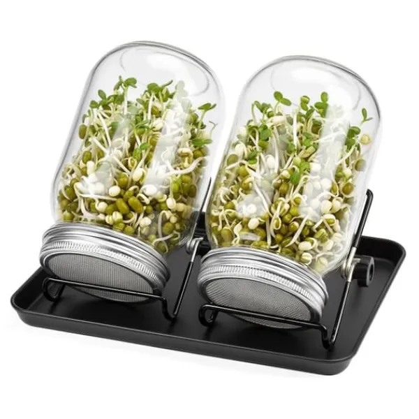 Spireglas Sæt, 16,5x10 cm, Glas Kit Til Plante- & Urtedyrkning