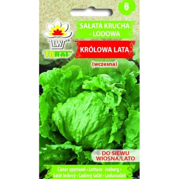 Clearance Sprød isbergsalat SOMMERENS DRONNING 1 g Frø