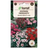 New Spring Beauty Mix - velduftende og langblomstrende staude Frø